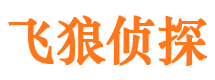 阜南外遇调查取证